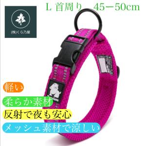犬 首輪 Lサイズ2本 カラー ピンク 犬用 軽い 反射 中型犬 大型犬 超