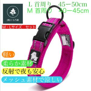 犬 首輪 Lサイズ2本 カラー ピンク 犬用 軽い 反射 中型犬 大型犬 超