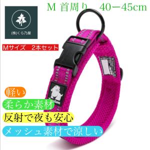 犬 首輪 Lサイズ2本 カラー ピンク 犬用 軽い 反射 中型犬 大型犬 超