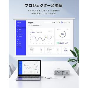RayCue DisplayPort HDMI...の詳細画像3