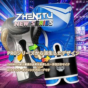 ZTTY ボクシンググローブ RIZIN現役 ...の詳細画像2
