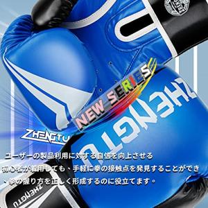 ZTTY ボクシンググローブ RIZIN現役 ...の詳細画像5