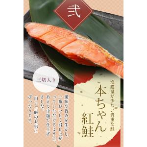 高級 魚 ギフト 魚セット 本ちゃん紅鮭(国産...の詳細画像5