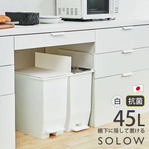 SOLOW ペダルオープンツイン 45L 大容量 ダストボックス ペダル式ゴミ箱 日本製 抗菌 防汚 リス ホワイト GSLW005 送料無料