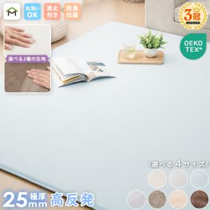 ラグ 接触冷感 夏用 洗える ラグマット 185x240cm ひんやりラグ 高反発 厚手 25mm 2畳 3畳 フランネル 防音 滑り止め付 正方形 長方形 カーペット 絨毯 北欧