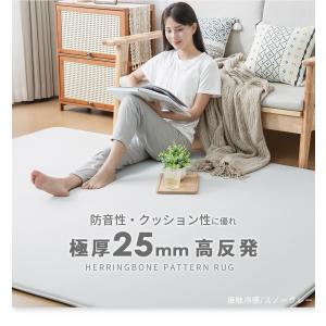 ラグ 接触冷感 夏用 洗える ラグマット 18...の詳細画像1