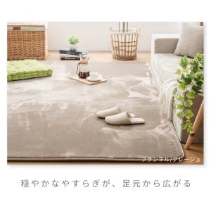 ラグ 接触冷感 夏用 洗える ラグマット 18...の詳細画像2