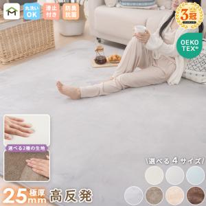 ラグ 厚手 25mm 2畳 3畳 洗える ラグマット 高反発 185x185cm フランネル 防音 滑り止め付 床暖房 ホットカーペット対応 こたつ 対応 正方形 長方形 絨毯 北欧