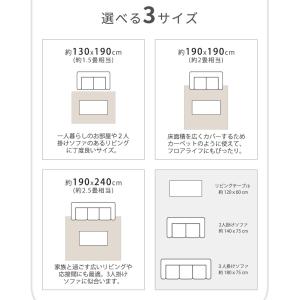 ラグ 夏用 洗える ラグマット ラグマット カ...の詳細画像4