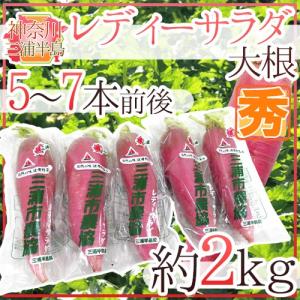 沖縄産 ”キーツマンゴー” 訳あり 5玉 約3〜4kg【予約 8月中旬以降