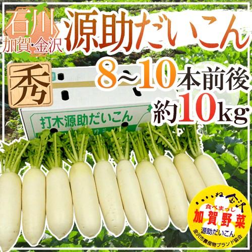 石川県 ”源助だいこん” 秀品 8〜10本前後 約10kg【予約 11月下旬以降】 送料無料