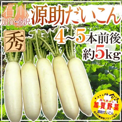 ”石川県 源助だいこん” 秀品 4〜5本前後 約5kg【予約 11月下旬以降】 送料無料