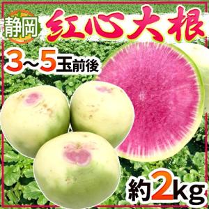 紅芯大根の商品一覧 通販 Yahoo ショッピング
