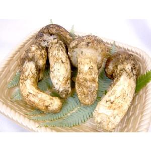 ”中国産 松茸” 3〜6本 約200g つぼみ...の詳細画像3