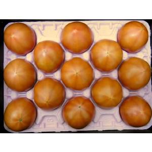 熊本産 塩トマト ”ロイヤルセレブ” 約900...の詳細画像2