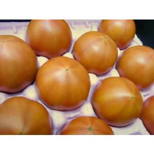 熊本産 塩トマト ”ロイヤルセレブ” 約900...の詳細画像5