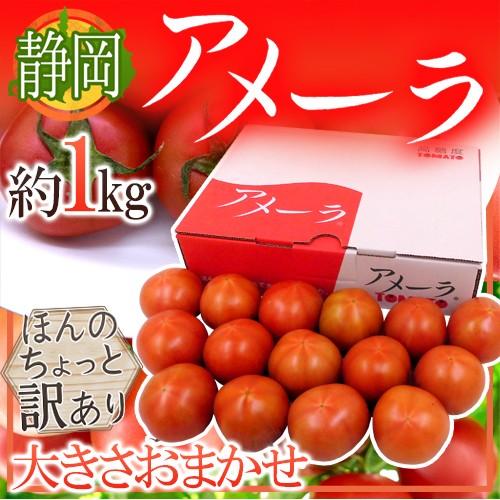 静岡県 ”高糖度フルーツトマト アメーラ” 大きさおまかせ 約1kg ほんのちょっと訳あり 化粧箱入...