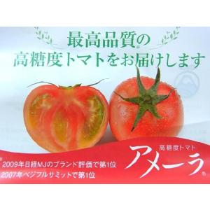 静岡県 ”高糖度フルーツトマト アメーラ” 2...の詳細画像2
