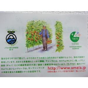 静岡県 ”高糖度フルーツトマト アメーラ” 2...の詳細画像3