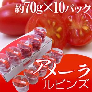 高糖度フルーツトマト 静岡県産 ”アメーラルビンズ” 1箱 10pc入り 化粧
