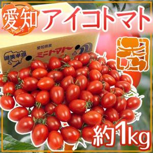 愛知県産 ”アイコトマト” 秀品 約1kg【予約 11月下旬以降