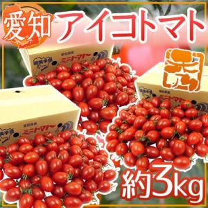 和歌山産 フルーツミニトマト ”キャロルセブン” 約1kg【予約 11月中旬