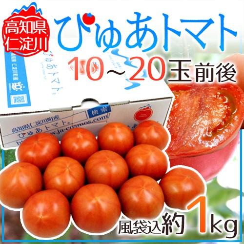 高知県 仁淀川 ”ぴゅあトマト” 風袋込約1kg 化粧箱【予約 6月中旬以降】 送料無料