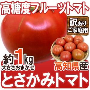 高知県夜須産 高糖度 夜須のフルーツトマト ”とさかみトマト” 約1kg 訳あり・ご家庭用【予約 入荷次第発送】｜kurashi-kaientai