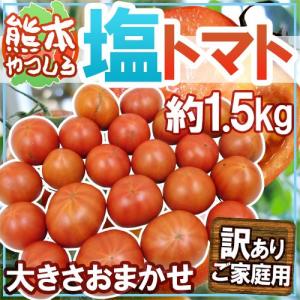 熊本県やつしろ産 ”塩トマト” 訳あり 約1.5kg【予約 2月下旬以降】