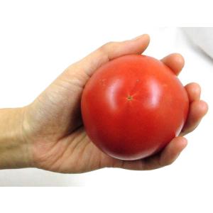 訳あり ”桃太郎トマトor王様トマト ほか” ...の詳細画像3