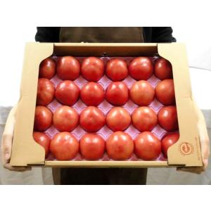 訳あり ”桃太郎トマトor王様トマト ほか” ...の詳細画像4