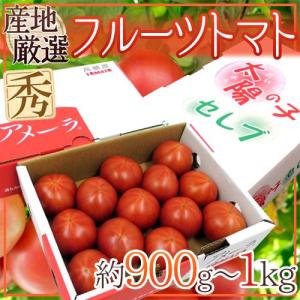 ”フルーツトマト” 約900g〜1kg 3箱購入で送料無料！アメーラ・ブリックスナイン・太陽の子セレブのいずれかでお届け【予約 入荷次第発送】｜kurashi-kaientai