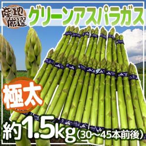 極太グリーンアスパラガス” 40〜60本前後 約2kg 北海道/長野/広島/佐賀