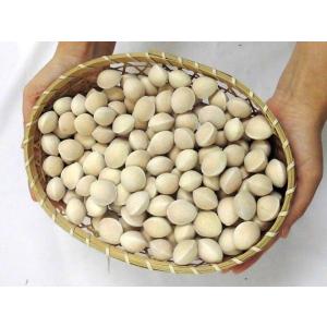 ”殻付き銀杏” 約500g 2Lサイズ以上 金...の詳細画像1
