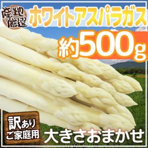 予約】北海道産 アスパラガス ホワイトアスパラ 500g (共撰/2L-3L