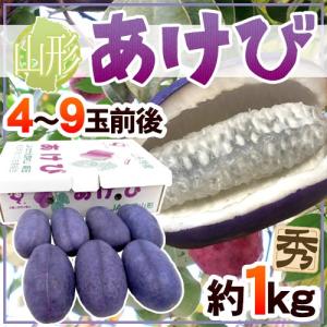 山形県 ”あけび” 秀品 4〜9玉前後 約1kg 木通（アケビ）【予約 9月中旬以降】 送料無料