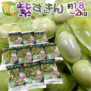 京都・丹波の黒豆 ”紫ずきん” 秀品 10pc（約1.8〜2kg）【予約 9月中旬以降】 送料無料｜くらし快援隊