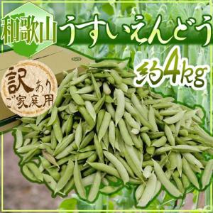 【送料無料】紀州・和歌山 ”うすいえんどう” 約4kg 訳あ...