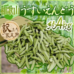 紀州・和歌山 ”うすいえんどう” 約4kg 訳あり ご家庭用【予約 3月中下旬以降】 送料無料