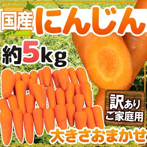 国内産限定！ ”にんじん” 訳あり 約5kg 産地おまかせ 人参