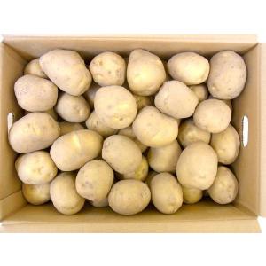 北海道 北見産 じゃがいも ”黄爵” 秀品 大...の詳細画像1