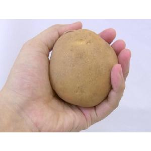 北海道 北見産 じゃがいも ”黄爵” 秀品 大...の詳細画像4