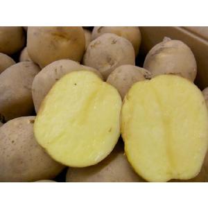 北海道 北見産 じゃがいも ”黄爵” 秀品 大...の詳細画像5