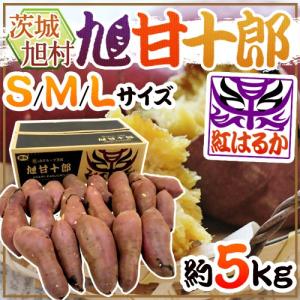 茨城県産（JA茨城旭村）さつまいも 旭甘十郎 紅はるか 特秀 Lサイズ 約