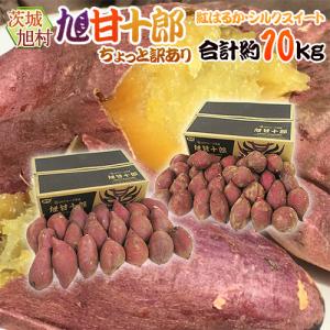 茨城県産（JA茨城旭村）さつまいも 旭甘十郎 紅はるか 特秀 Mサイズ 約