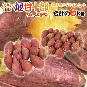 千葉・茨城県産 ”紅あずま” Mサイズ 約5kg さつまいも【予約 入荷次第