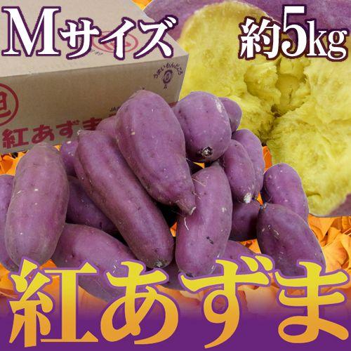 千葉・茨城県産 ”紅あずま” Mサイズ 約5kg さつまいも【予約 入荷次第発送】