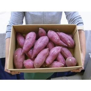 千葉・茨城県産 ”紅あずま” Mサイズ 約5k...の詳細画像2