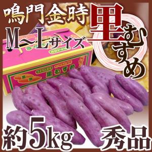 徳島県産 ”鳴門金時 里むすめ” 秀品 M〜Lサイズ 約5kg さつまいも【予約 入荷次第発送】