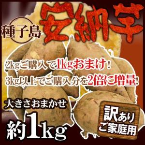 種子島産 ”安納芋” 訳あり 約1kg《2kg購入で1kgおまけ、3kg以上購入で2倍に増量》【予約 10月下旬以降】 送料無料
